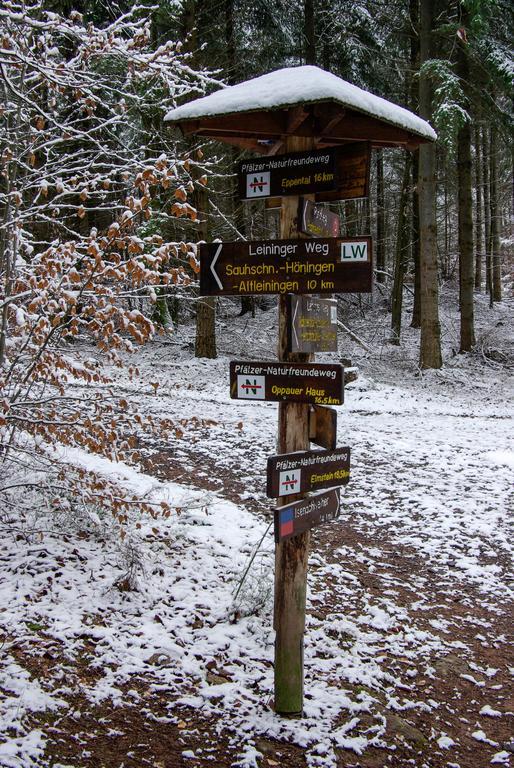 Naturfreundehaus Rahnenhof Carlsberg Zewnętrze zdjęcie