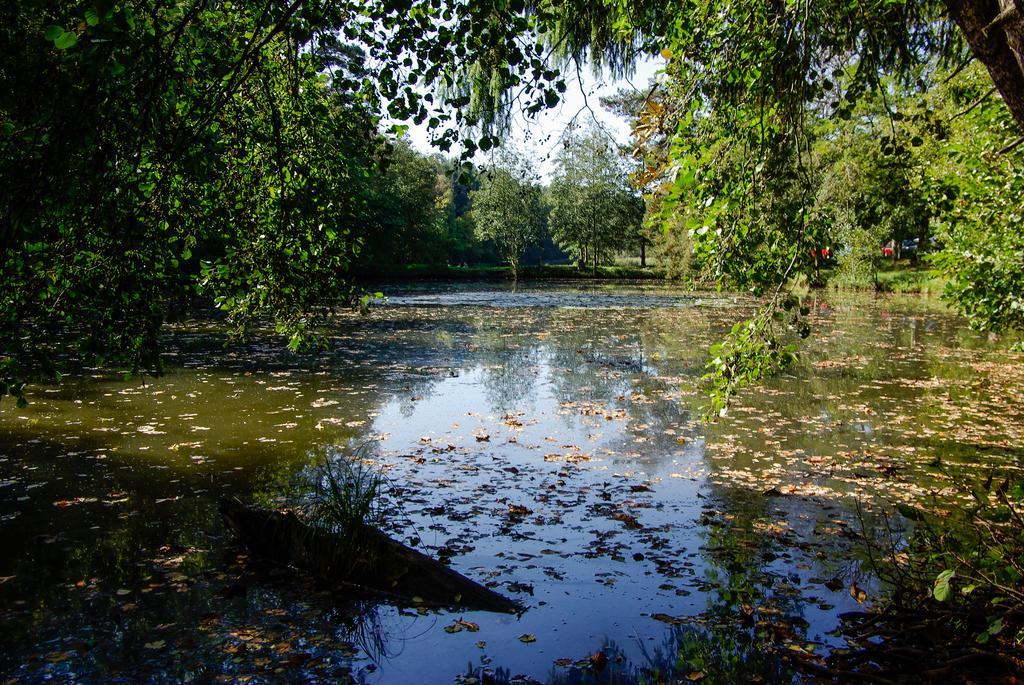 Naturfreundehaus Rahnenhof Carlsberg Zewnętrze zdjęcie